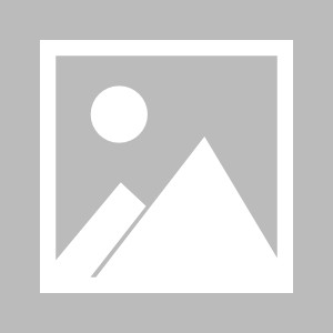 v站体育-【湖人球迷电台】庄神加盟湖蜜欢呼雀跃，但请先冷静